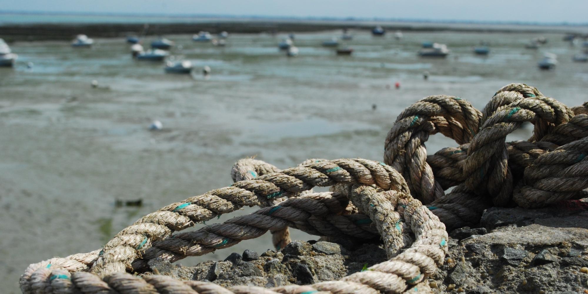 Cancale - Bruyères du Mont