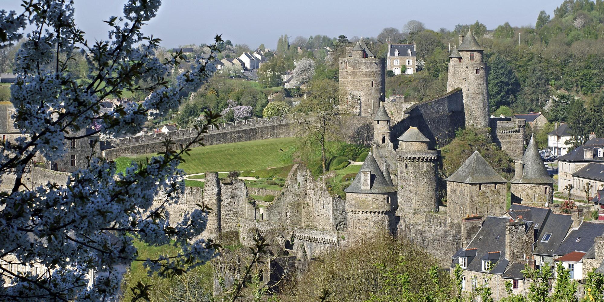 Fougeres - Bruyères du Mont