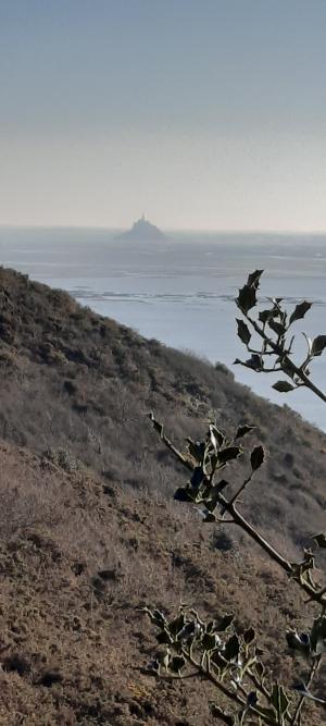 La maison d'hôtes Les Bruyères du Mont vous accueille dans la Baie du Mont Saint Michel 12 km du Mont St Michel entre St Malo et Granville  Nous vous proposons un séjour entre Bretagne et Normandie au sein de 4 chambres  et un gîte de charme. 