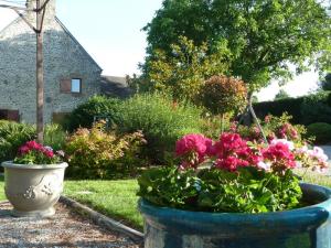 Le jardin de la maison d'hôtes - Bruyères du Mont