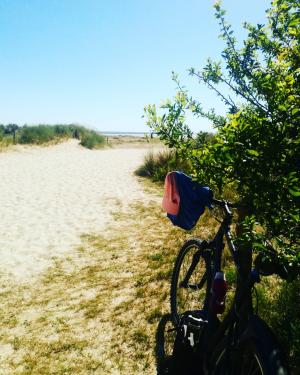 La maison d'hôtes Les Bruyères du Mont vous accueille dans la Baie du Mont Saint Michel 12 km du Mont St Michel entre St Malo et Granville  Nous vous proposons un séjour entre Bretagne et Normandie au sein de 4 chambres  et un gîte de charme. 