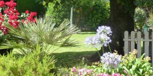 Le jardin de la maison d'hôtes - Bruyères du Mont