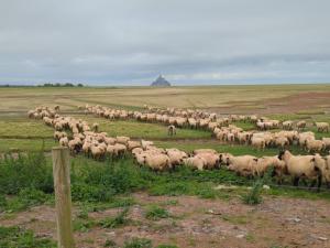 La maison d'hôtes Les Bruyères du Mont vous accueille dans la Baie du Mont Saint Michel 12 km du Mont St Michel entre St Malo et Granville  Nous vous proposons un séjour entre Bretagne et Normandie au sein de 4 chambres  et un gîte de charme. 