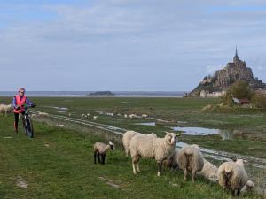 La maison d'hôtes Les Bruyères du Mont vous accueille dans la Baie du Mont Saint Michel 12 km du Mont St Michel entre St Malo et Granville  Nous vous proposons un séjour entre Bretagne et Normandie au sein de 4 chambres  et un gîte de charme. 