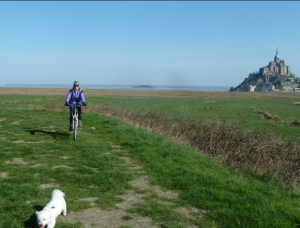 La maison d'hôtes Les Bruyères du Mont vous accueille dans la Baie du Mont Saint Michel 12 km du Mont St Michel entre St Malo et Granville Nous vous proposons un séjour entre Bretagne et Normandie au sein de 4 chambres et un gîte de charme.