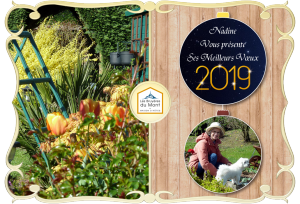 Bonne année !!